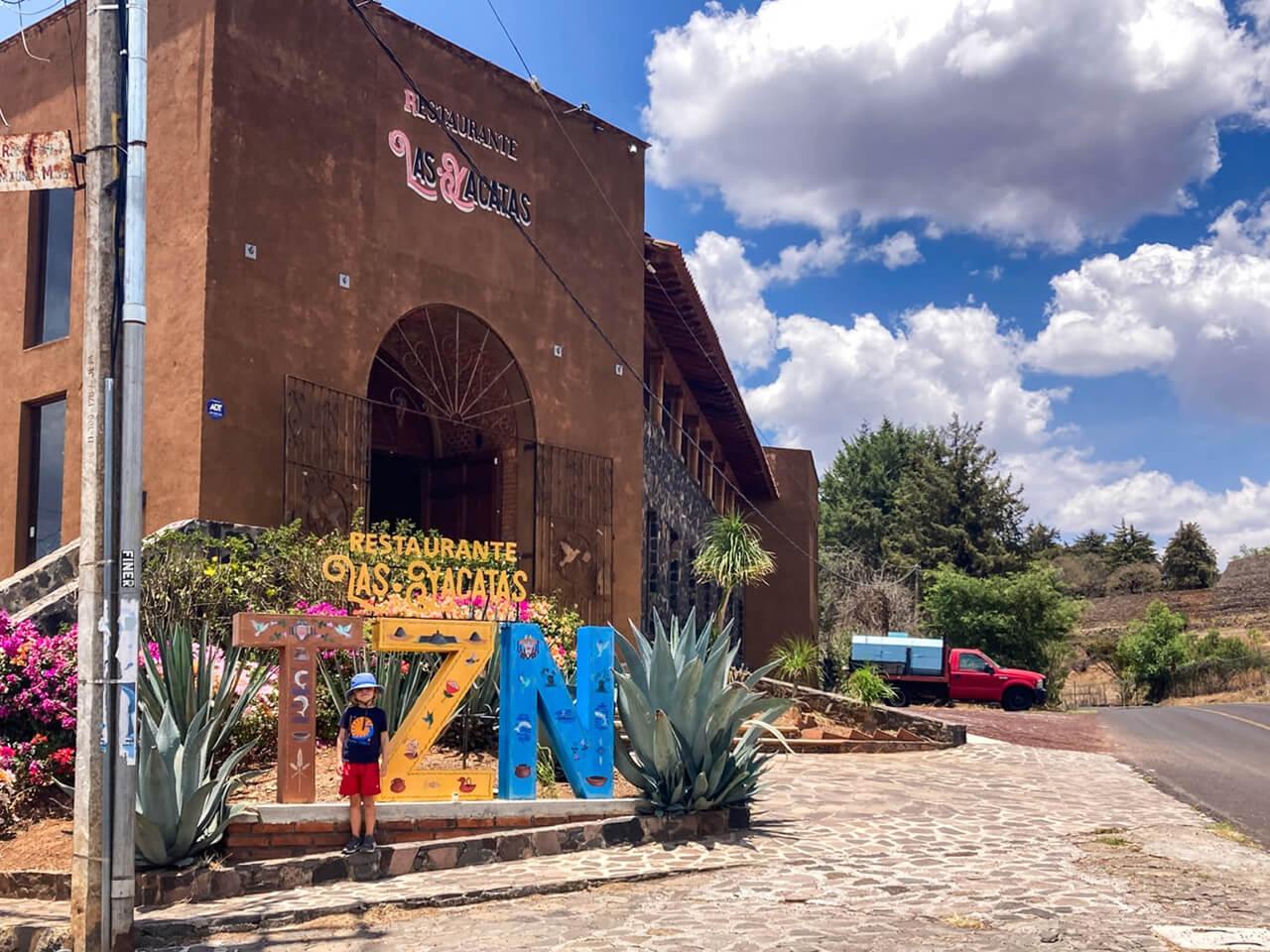 Vinata en Taracuata, Municipio de Coeneo - Imagen 8