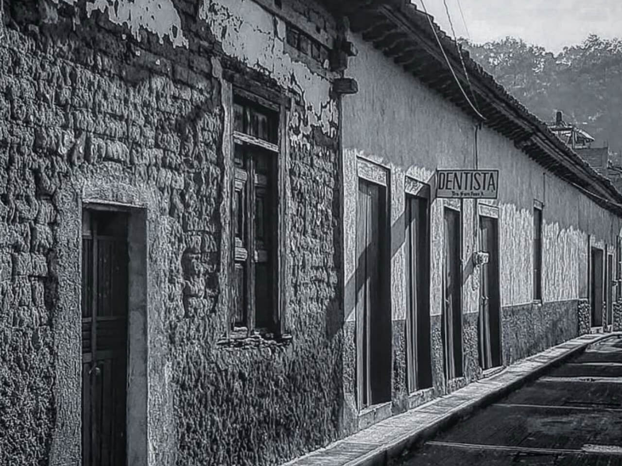 Vinata en Taracuata, Municipio de Coeneo - Imagen 7