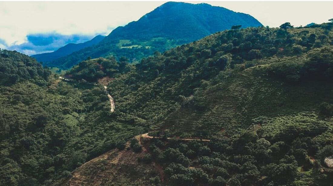 Vinata en Tzitzio, Municipio de Tzitzio - Imagen 7