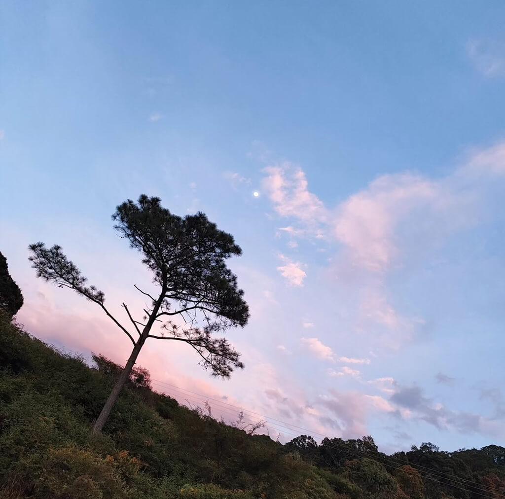 Vinata en Tzitzio, Municipio de Tzitzio - Imagen 5